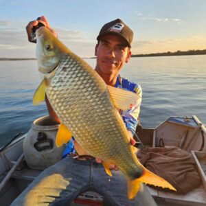 A temporada de Pesca no Rio Paraná continua e se aproxima os bons momentos de se divertir com as espécies nativas.